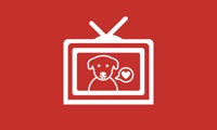 DOG RELAX TV
