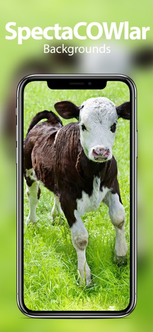 Farm Animal Wallpapers(圖2)-速報App