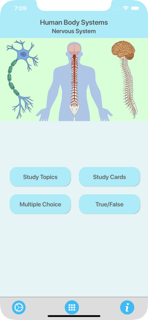 Learn Nervous System