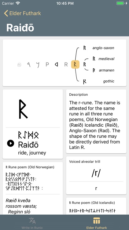 Write in Runic screenshot-4