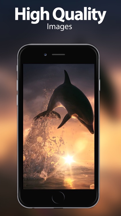 Underwater Wallpapers & Themes