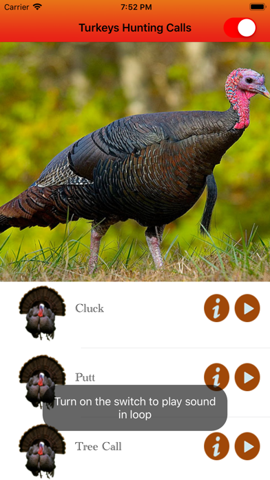 Turkey Hunting Calls - screenshot 3