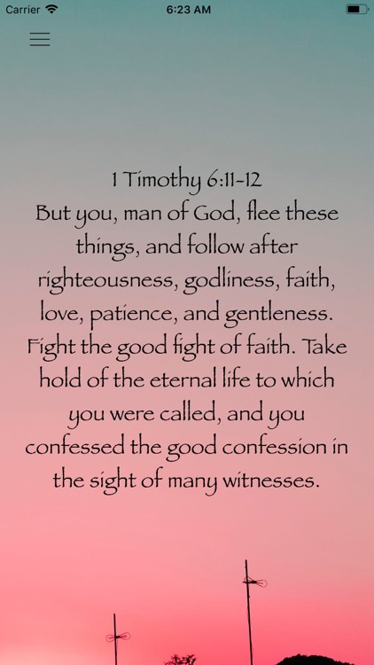 Bible Devotional: Affirmations screenshot-5