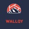 Wallqy is  simple, beautiful and easy to use wallpaper app