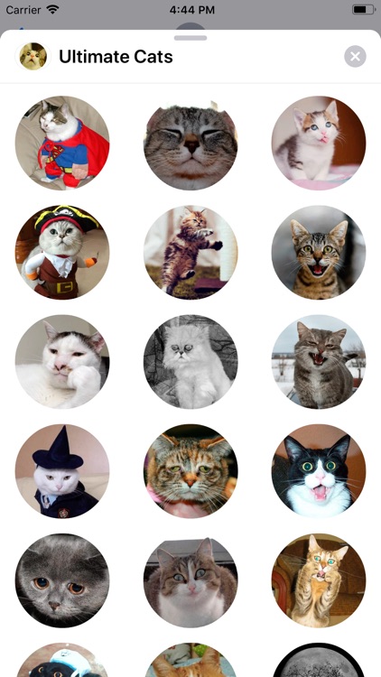 Ultimate Cats Sticker Pack screenshot-5