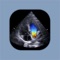 ShowCase Viewer for iPad provides ShowCase customers with convenient, portable access to their medical imaging studies