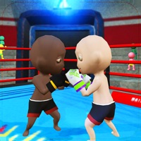 Fight Master 3D sur PC
