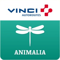 ANIMALIA by VINCI Autoroutes sur PC