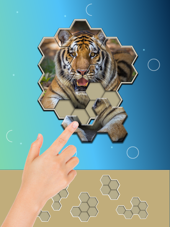 Jigsaw Hexa Block screenshot 3