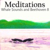 Meditations Whales Beethoven 8