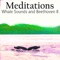 Relax as Meditations Whale Sounds and Beethoven 8 transports your mind into a virtual relaxations