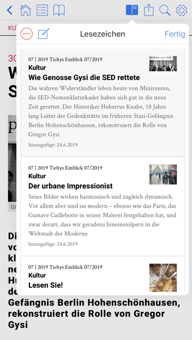 Tichys Einblick Magazin screenshot 3