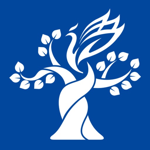 梧桐中文 Iphone Apps Appsuke