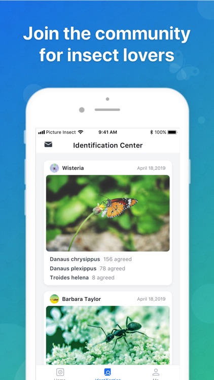Picture Insect - Insect Id Pro screenshot-3