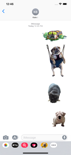 Bulldog Sticker(圖4)-速報App