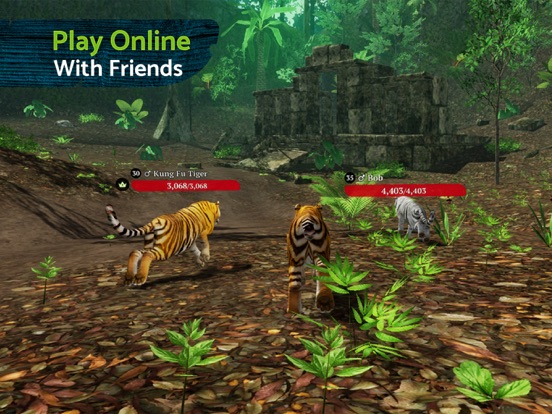 The Tiger Online RPG Simulator для iPad