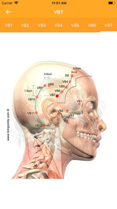 Assistant Acupuncture Assistant Acupuncture