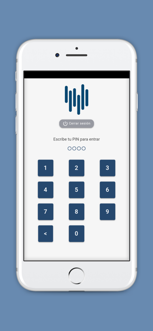 Control de Gastos e Ingresos