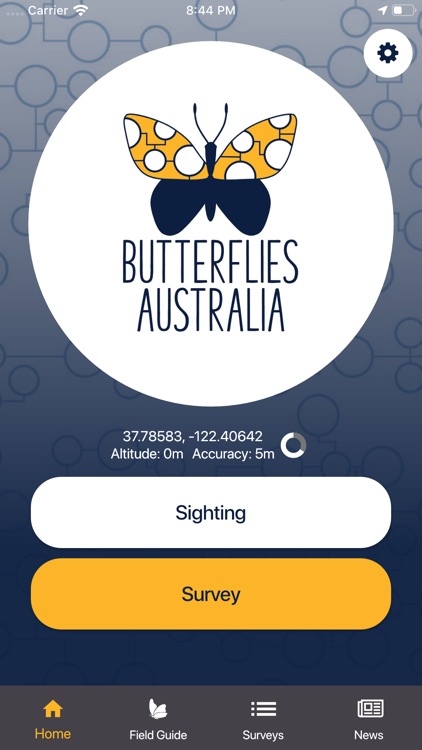 Butterflies Australia
