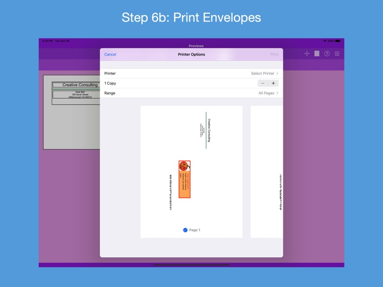 Addressed Envelope Designer screenshot-7