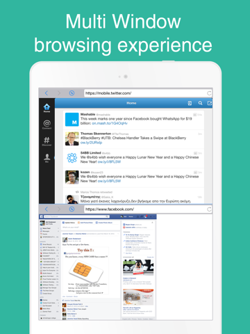 Скриншот из Split-Multi Window Browsing