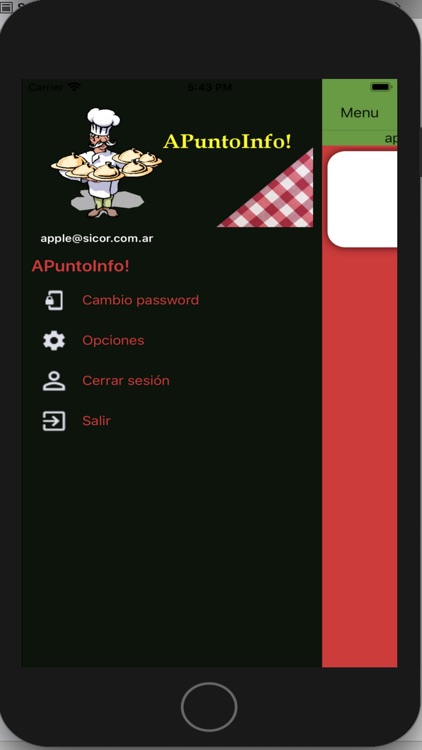 APuntoInfo screenshot-7