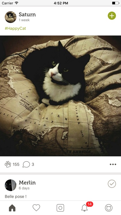 Yummypets - Pets