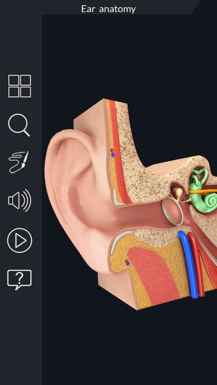 My Ear Anatomy screenshot-3