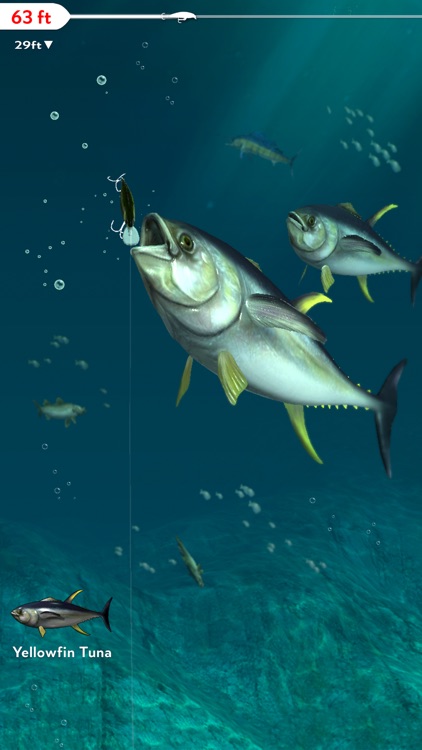 Rapala Fishing - Daily Catch screenshot-4