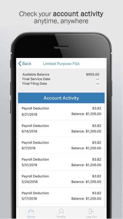 Custom Design Benefits FSA/HSA