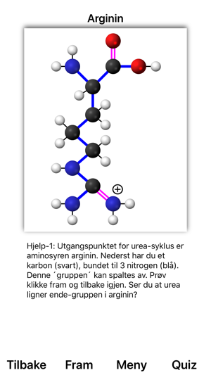 Ureasyklus(圖3)-速報App