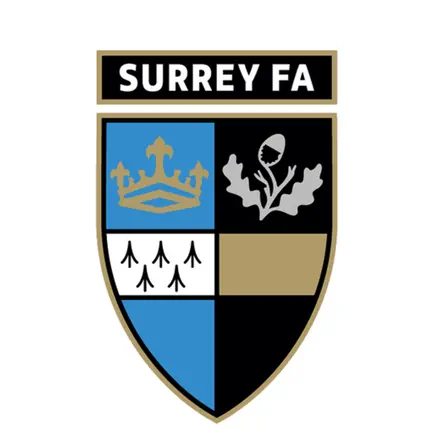 Surrey FA Читы