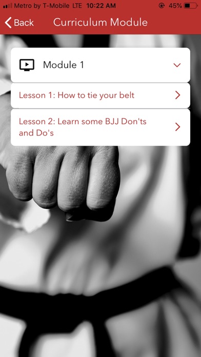 Workshop Jiu Jitsu screenshot 3