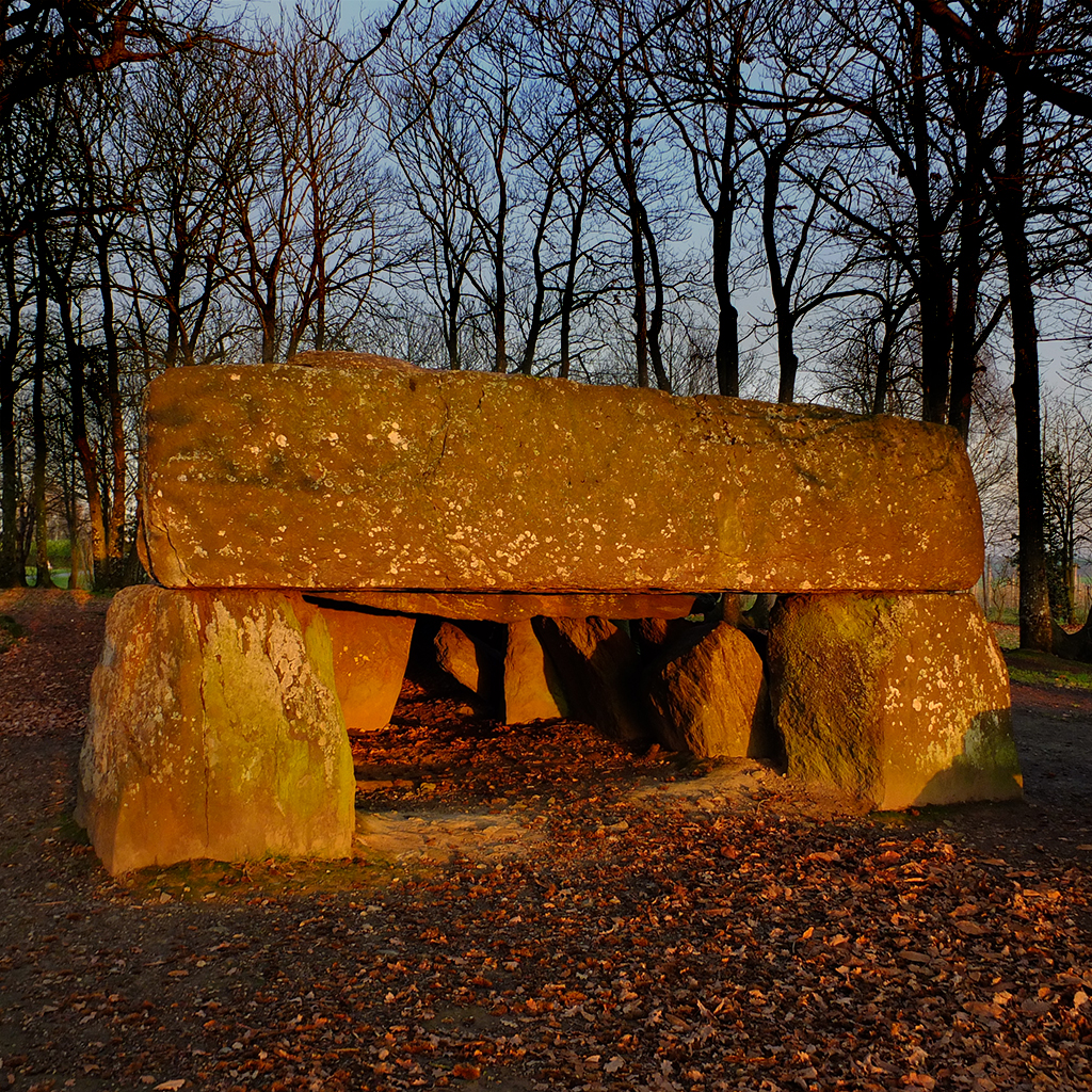 Get Roche aux Fées for iOS, iPhone, iPad Aso Report