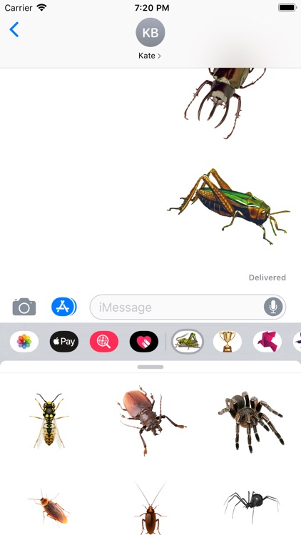 Insects Stickers