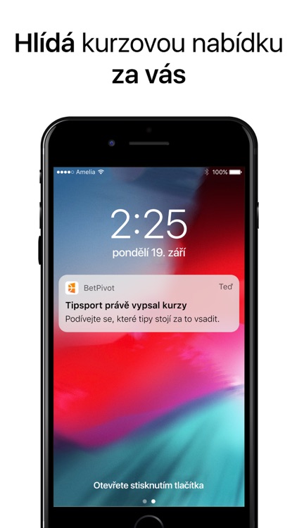 BetPivot: Sázejte chytře screenshot-4