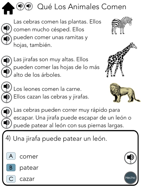 Spanish Comprehension 4