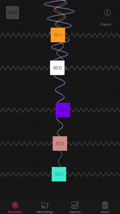 Harmonic Motion