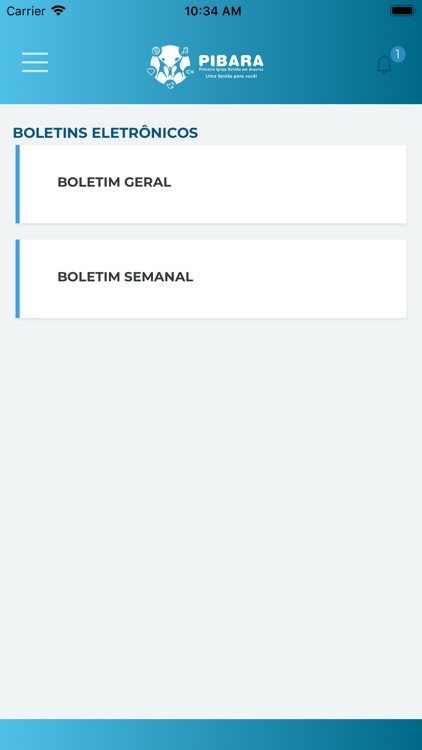 Portal PIBARA screenshot-4