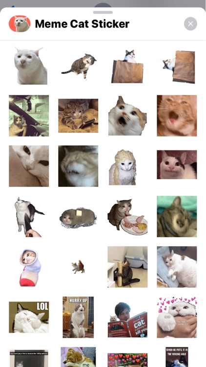 Cat Meme Stickers screenshot-4