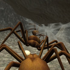 Activities of Spider Colony Simulator