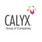 Calyx application is used by sales team to search customer, Lead creation, followup customer, booking