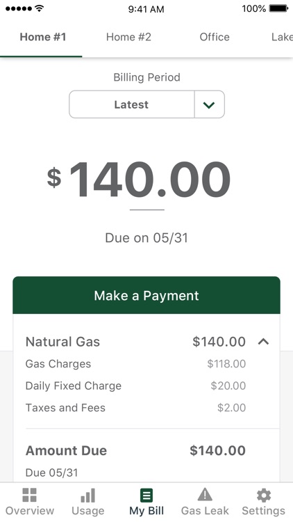 Minnesota Energy Resources