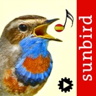 Top 22 Reference Apps Like Cantos de Aves Id, guía para identificar pájaros - Best Alternatives