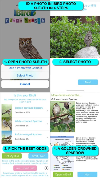 iBird Lite Guide to Birds