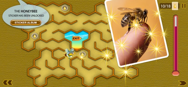 Honey Tina and Bees(圖4)-速報App