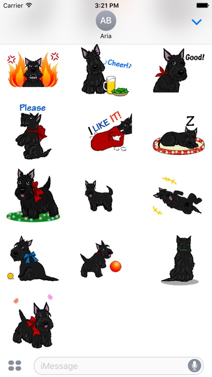 Animated Adorable Scottie Dog