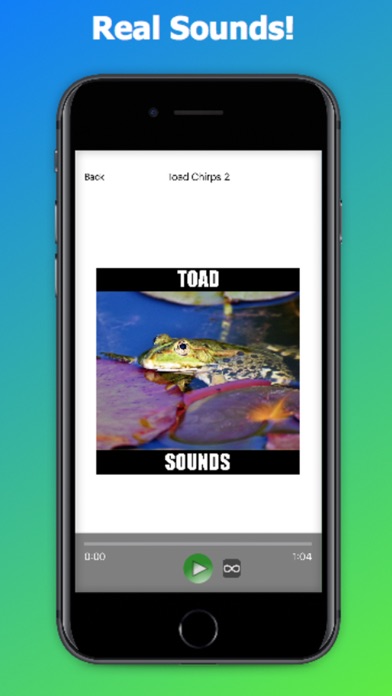 Toad Sounds screenshot 1