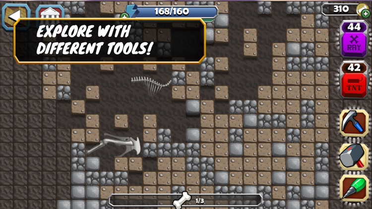 Dino Quest: Fossil Expedition screenshot-3