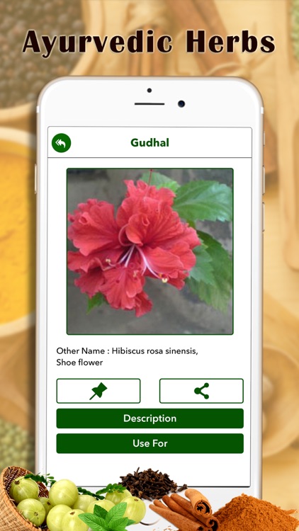 Ayurvedic Plants and Herbs screenshot-3